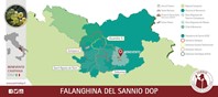 Mappe e percorsi dei vini - Falanghina del Sannio DOP