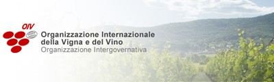 Rapporto statistico 2013 dell’OIV sulla vitivinicoltura mondiale: prospettive e tendenze